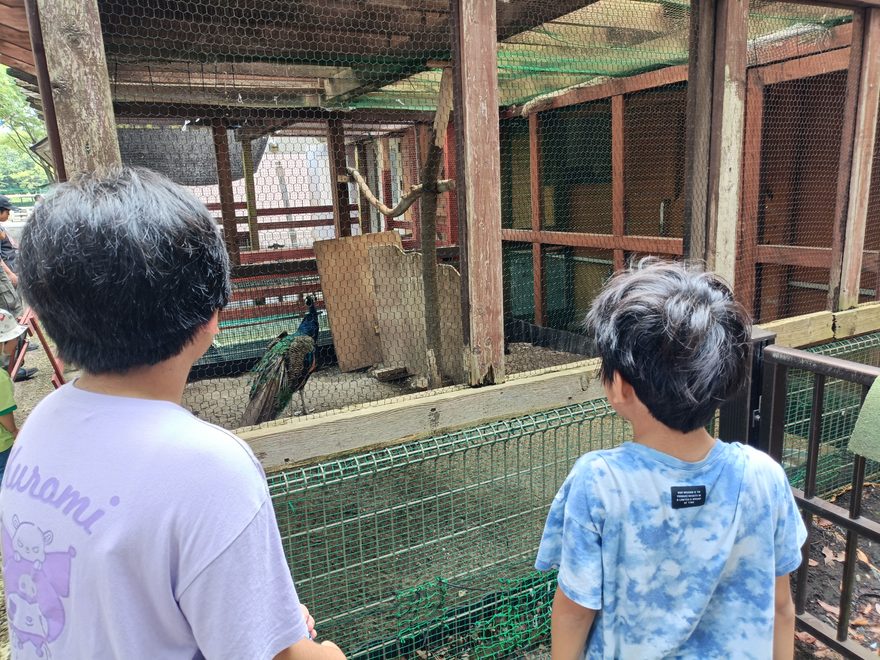 動物公園にて